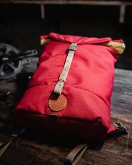 Rhoncus aenean velelit scelerisque mauris