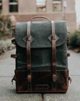 Scelerisque mauris pellentesque pulvinar