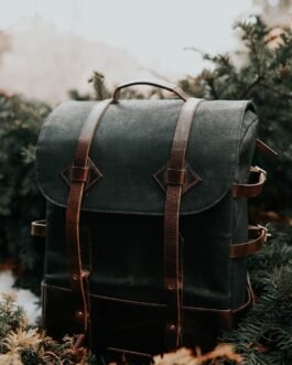 Scelerisque mauris pellentesque pulvinar